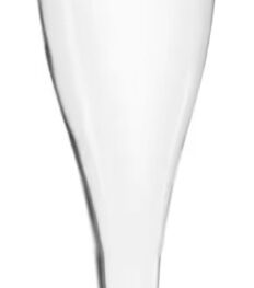 Šampanieša glāze 120ml Elegance EU 12gab./pac. 12 pac./kastē